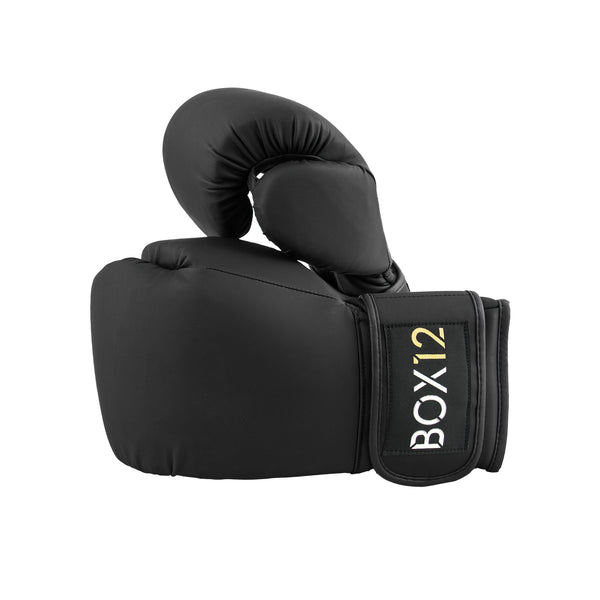 BOX12 Boxing Gloves